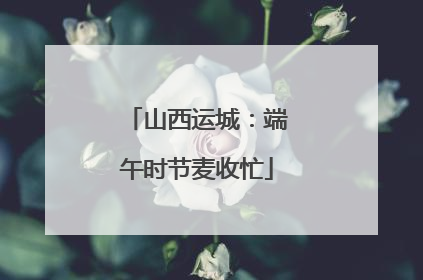 山西运城：端午时节麦收忙